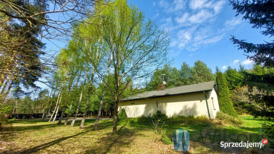 Sprzedaż działki Wiązowna 9130m2