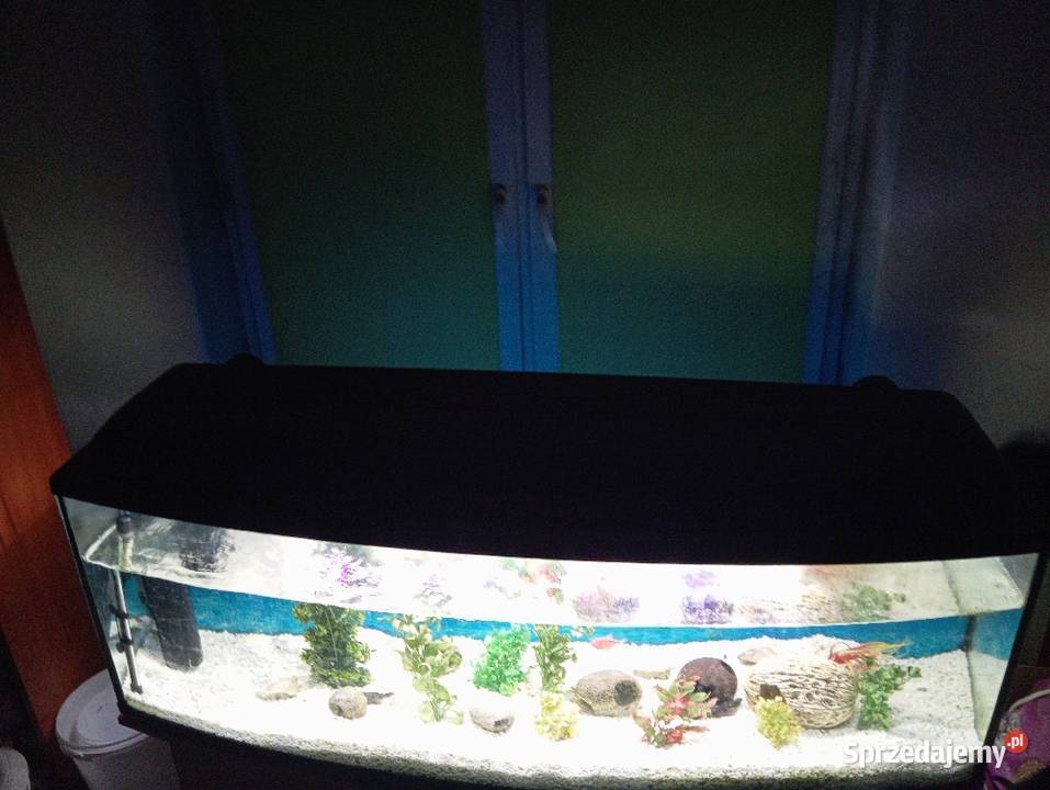 Akwarium 300l panoramiczne full zestaw podlaskie Gatne Drugie