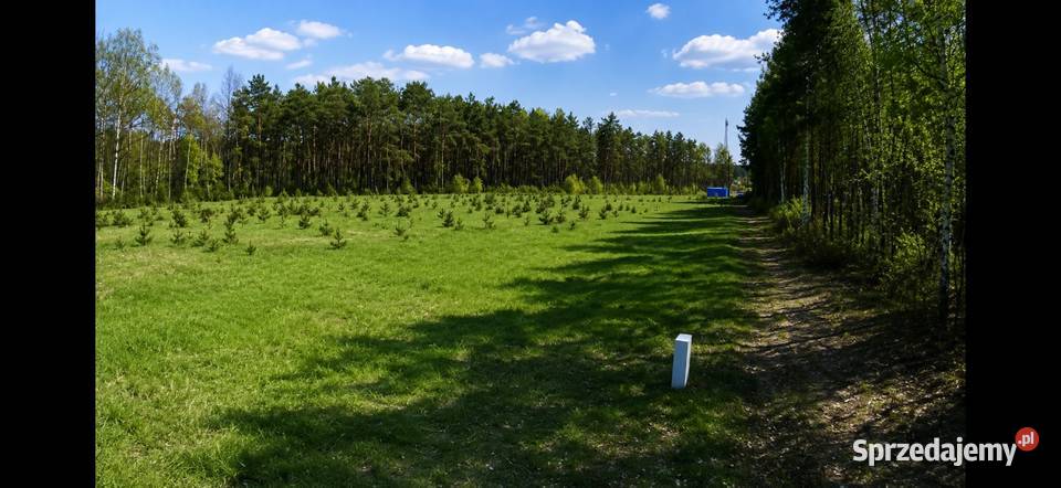 Działka budowlana 1095M2 WZ BRZÓZA budowlana Brzóza