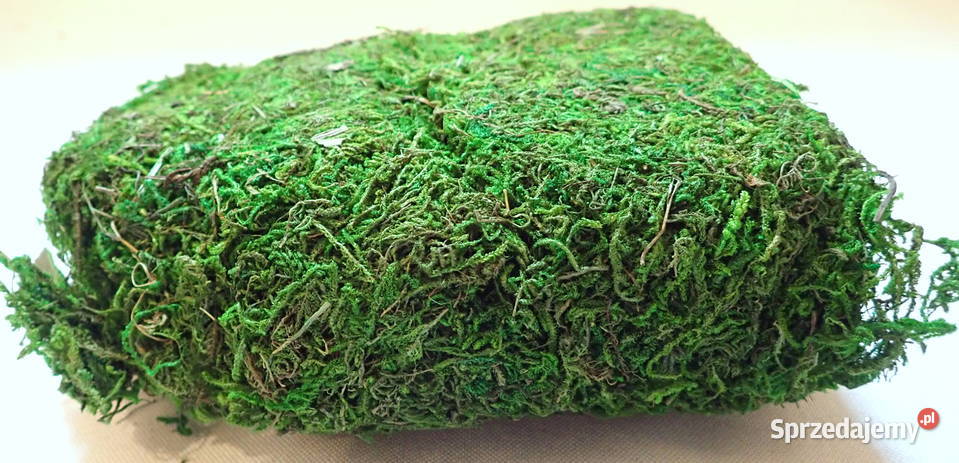 Mech sztuczny suszony Dekoracja do stroików 100g Dekoracje i ozdoby śląskie Siewierz