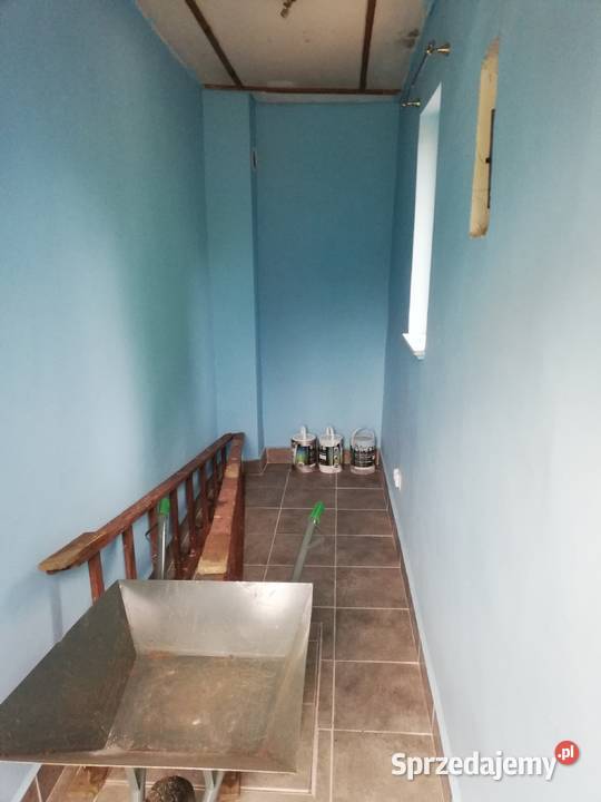 działka ROD domek Lechicka ROD Urodzaj 126zł/m2 Nieruchomości wielkopolskie Poznań