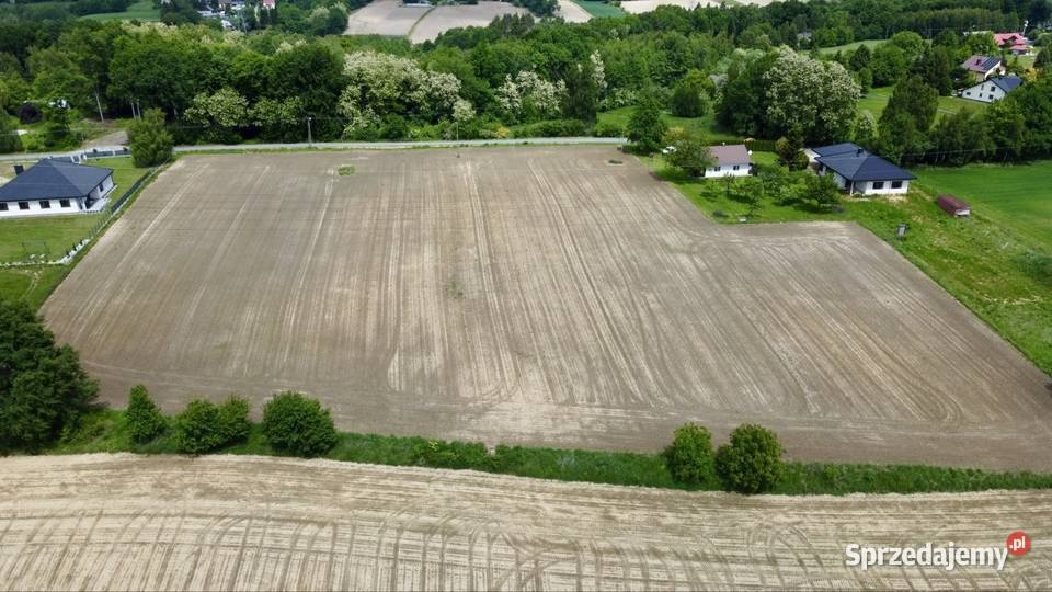 Działka budowlana 10 ar 12 ar TŁUCZAŃ