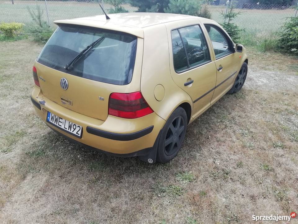 VW Golf 4 16 sr nieuszkodzony Sadowne sprzedam