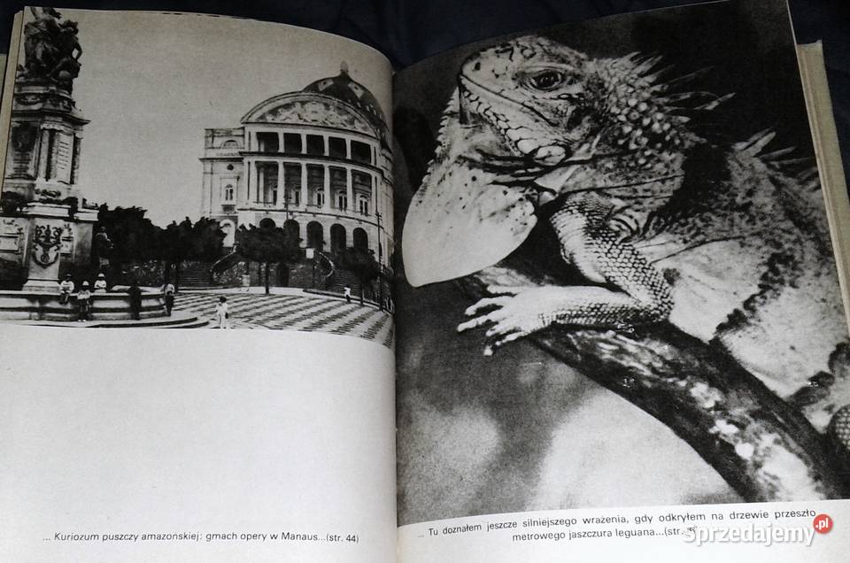 Ryby śpiewają w Ukajali Arkady Fiedler Pozostałe lubelskie Chełm