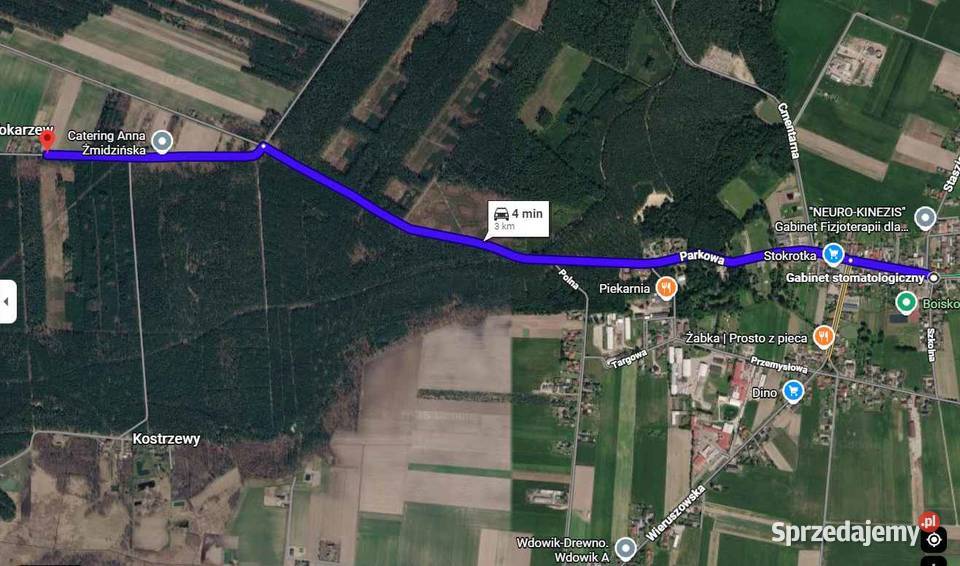 DZIAŁKA 7153 m WARUNKI ZABUDOWY MEDIA ASFALT LAS Grunty i działki łódzkie Kolonia Osiek