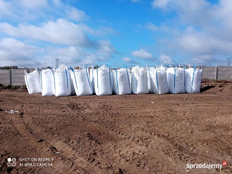 Kukurydza mielona ccm Osiek sprzedam