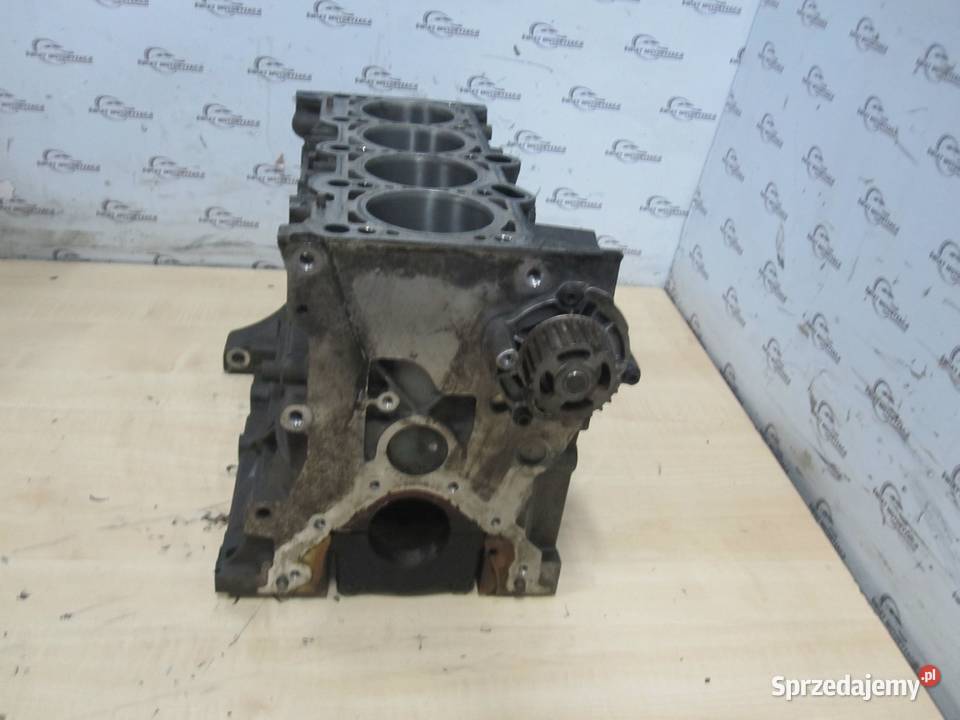 PASSAT B6 OCTAVIA 08r 20 FSI BVY 150 171 blok Kielce