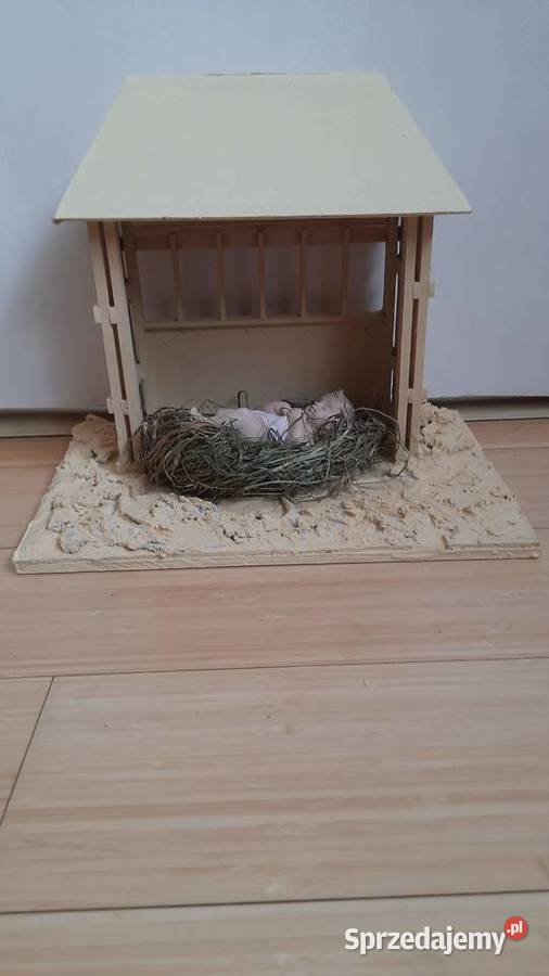 Szopka na Boże Narodzenie Poznań