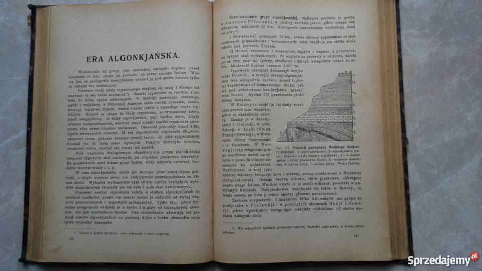 Zasady Geologji WFriedberg 1923 r Jarosław