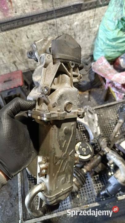 Chłodniczka spalin zawór EGR 16 TDI CAY Audi osobowe Bodzentyn