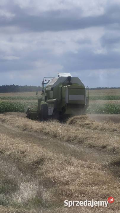 Claas Dominator 96 Zbożowe lubelskie Chełm