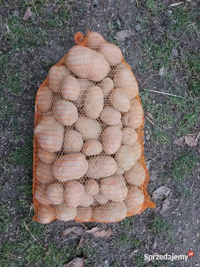 Ziemniaki Jadalne Vieta Bellarosa Płowizny sprzedam