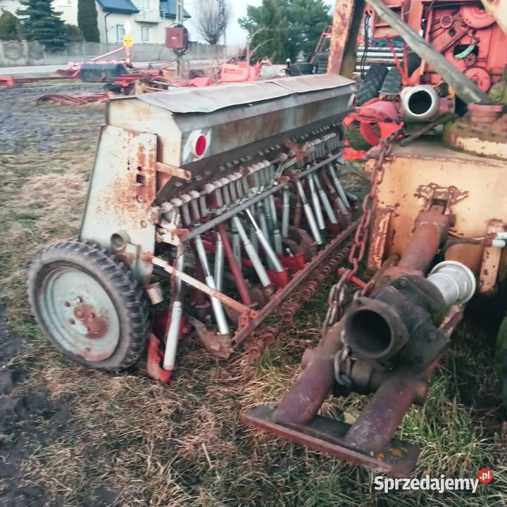 Siewnik poznaniak Piątek sprzedam