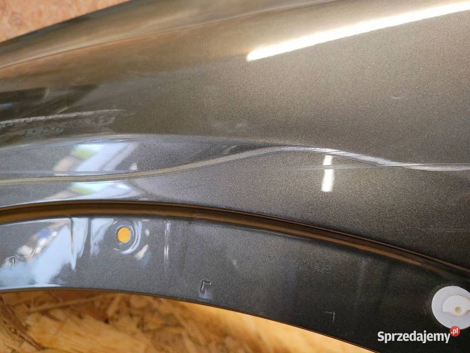 Błotnik Lewy Przód BMW X7 G07 20192022 Pleszew
