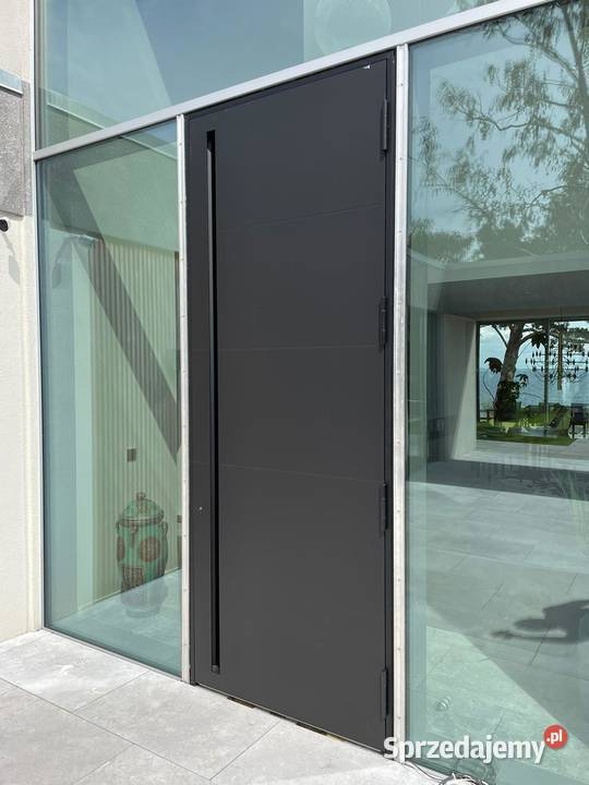 Drzwi zewnętrzne wejściowe aluminiowe producent Nowy Sącz