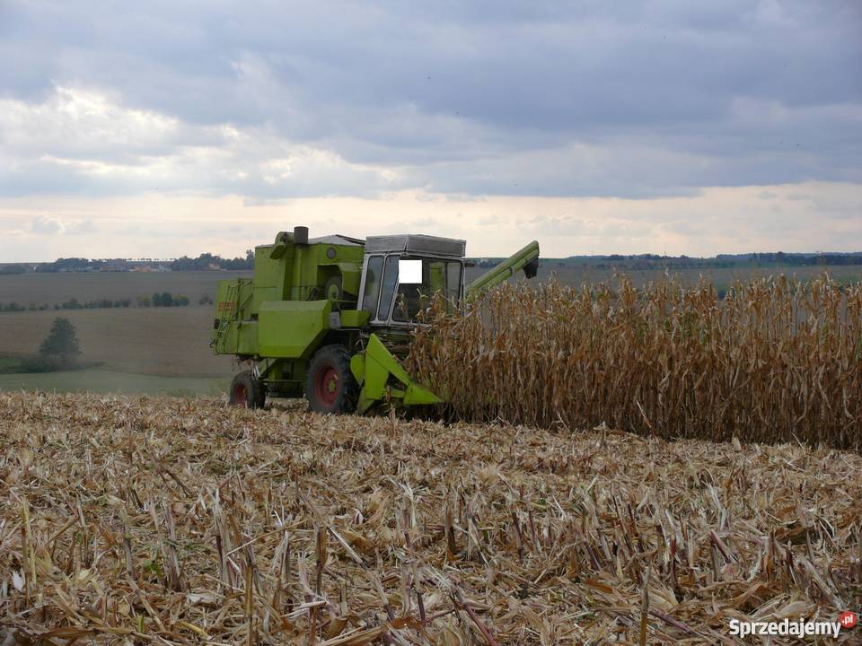 Claas Dominator 85 Herder do KUKURYDZY Racibórz