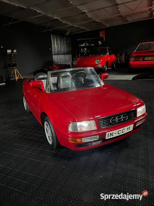 Audi Alpha Junior Kalisz