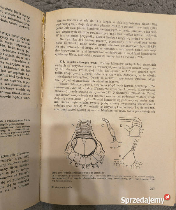 Zestaw 10 książek parazytologii fizjologii Sosnowiec