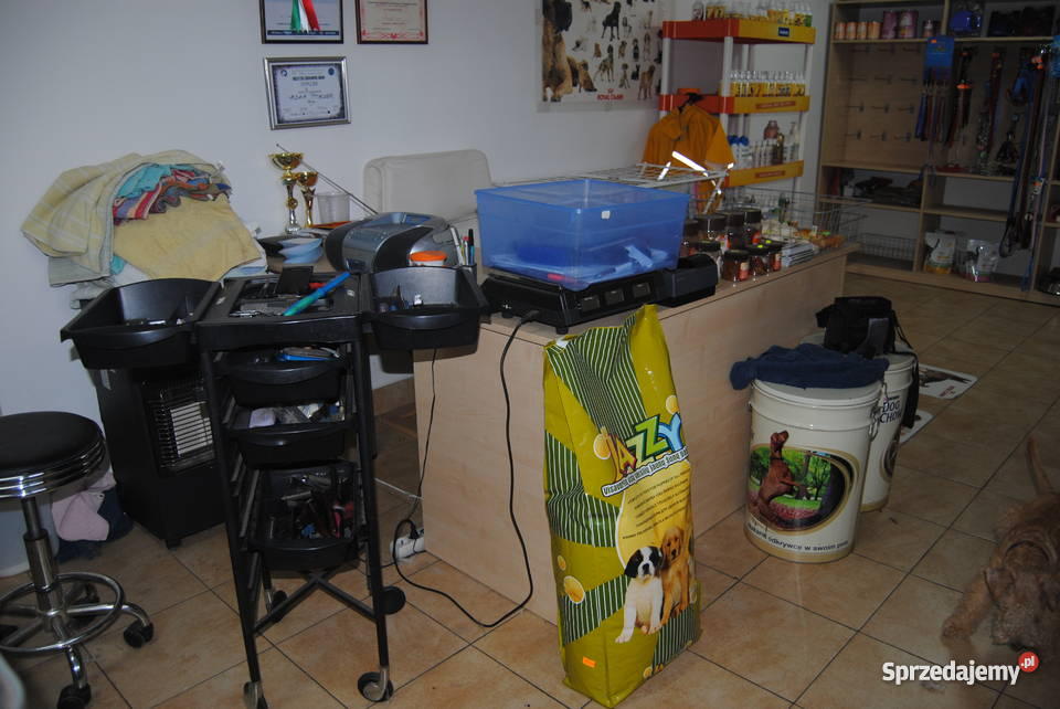 wyposażenie salonu fryzjerskiego psów Gorlice sprzedam