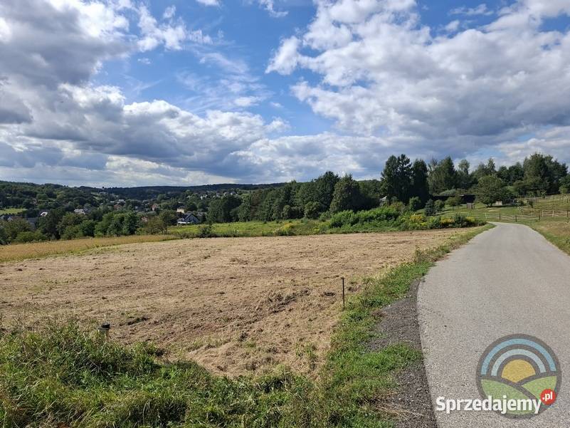 Brzoskwinia gm Zabierzów widokowa działka 3100 sprzedam