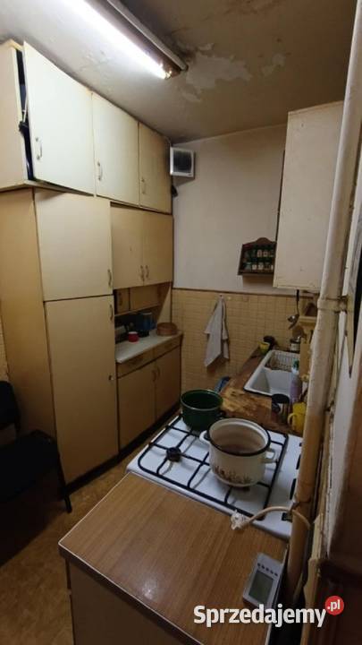 2pok 37met Ogrodu Botanicznego WINDA ZARAZ Wrocław