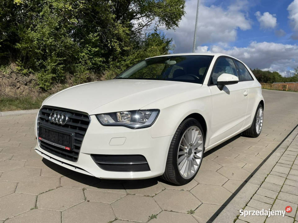 Audi A3 Audi A3 Opłacony Klimatronic 16 TDI 105 Rok produkcji 2012 wielkopolskie Gostyń sprzedam