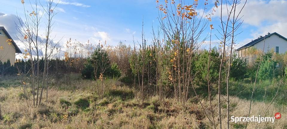 3 działki z MPZP w Wychowie k Luzina Sychowo