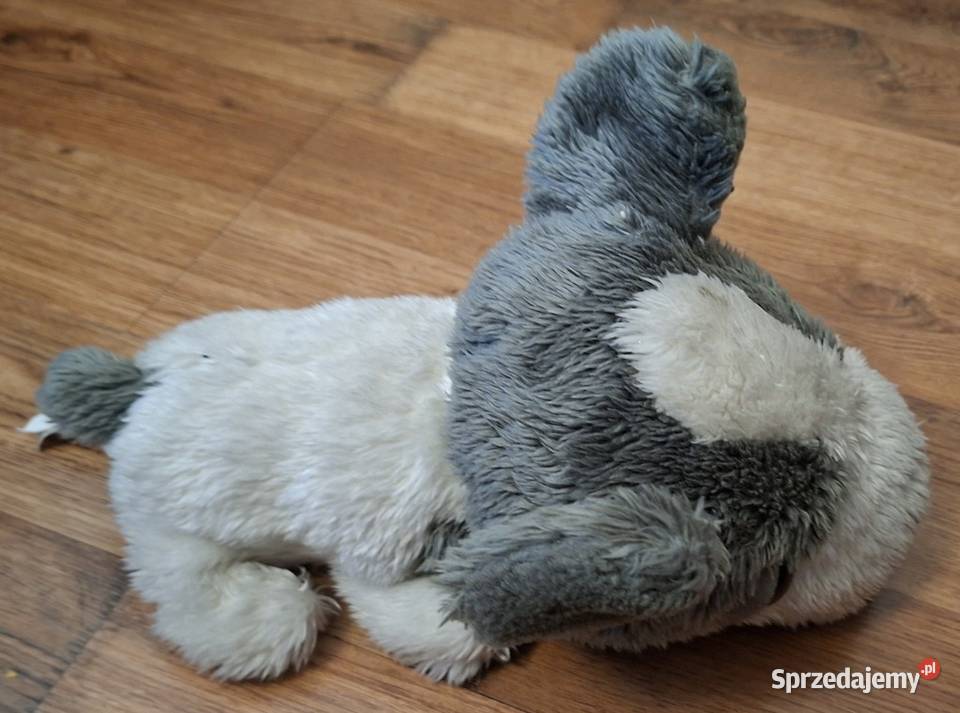 Maskotka piesek pluszak Zielona Góra