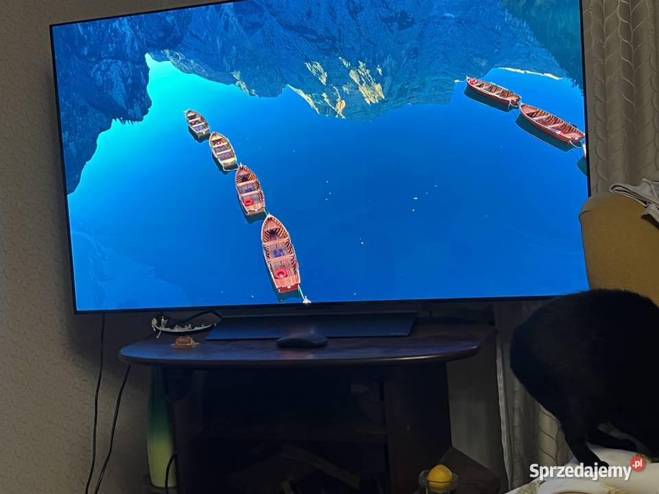 Telewizor LG 55 OLED evo 4K 120Hz HDR ze Telewizory