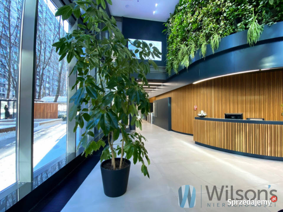 Lokal Warszawa 35 metrów 35m2 Wynajem