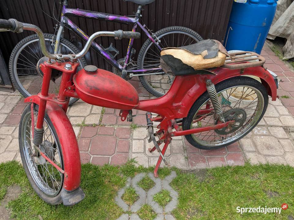 komar Ostrowiec Świętokrzyski