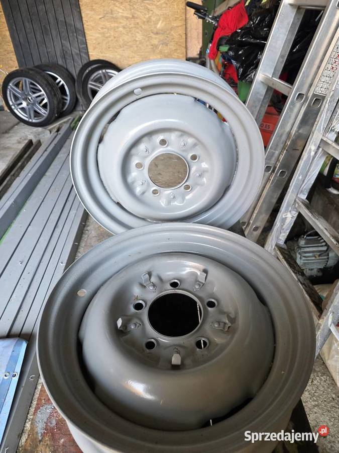 Cześć Żuka Żuka Żuka łódzkie Piotrków Trybunalski