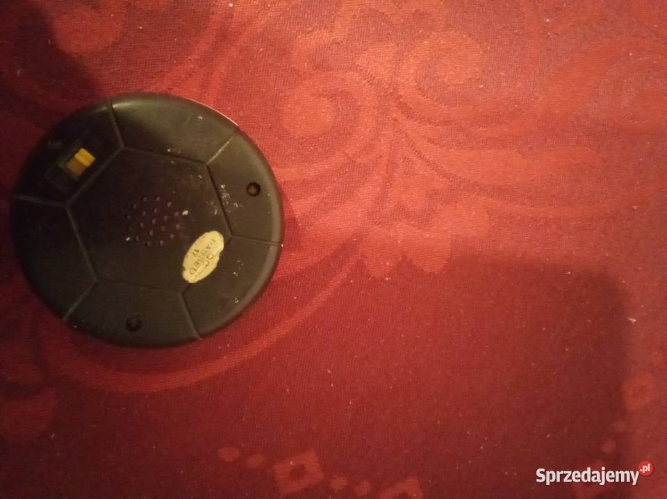 Kaczor Donald gra piłkarze Disney Warszawa