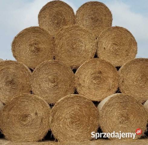 Słoma dolnośląskie