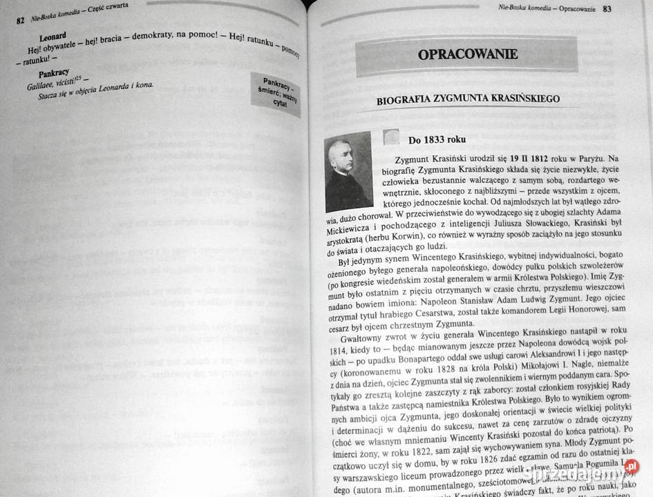 NieBoska komedia Lektura z opracowaniem Zygmunt Kultura i Rozrywka Chełm sprzedam