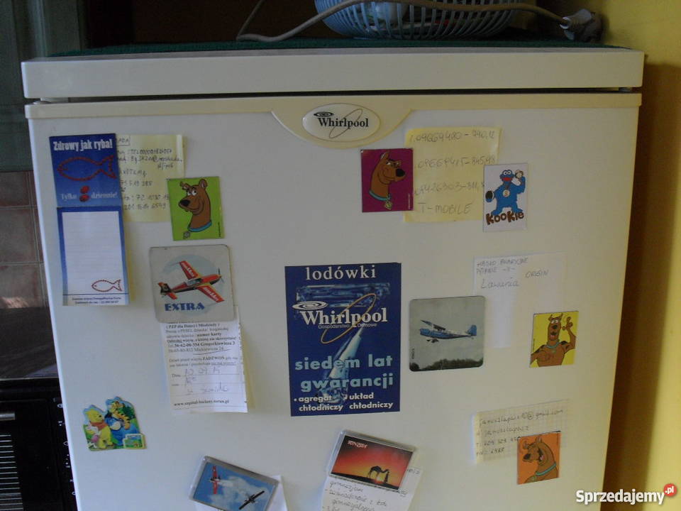 Lodówka Whirlpool CB290W Włocławek