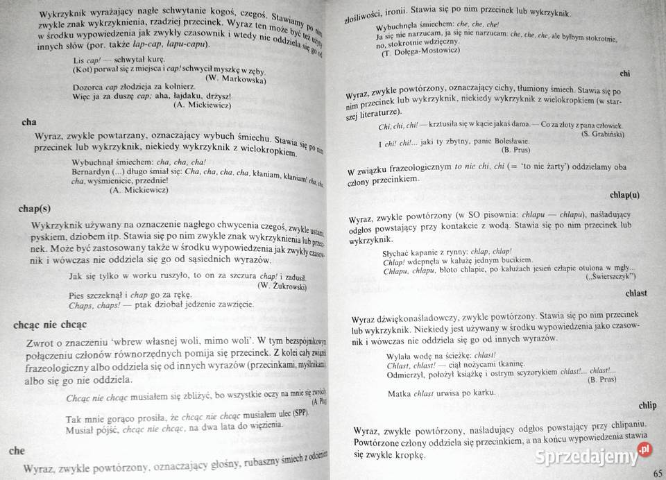 Słownik interpunkcyjny języka polskiego Jerzy lubelskie Chełm