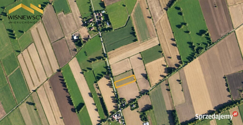 Dwie działki rolne w Zwierznie razem osobno Grunty i działki