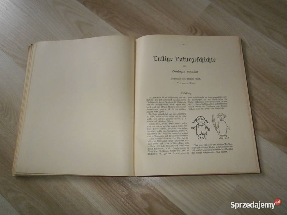 Lustige Bildergeschichten und allerlei Humore Łódź