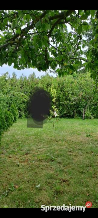 Rod Malwa Milanówek