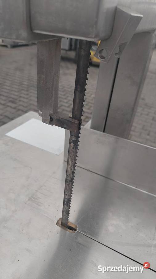 Kolbe 4601 piła taśmowa Gastronomia Krotoszyn