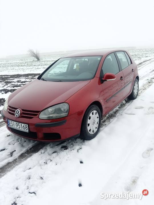 Sprzedam Volkswagena Golfa 5 19 TDI 218000km Aleksandrów Łódzki