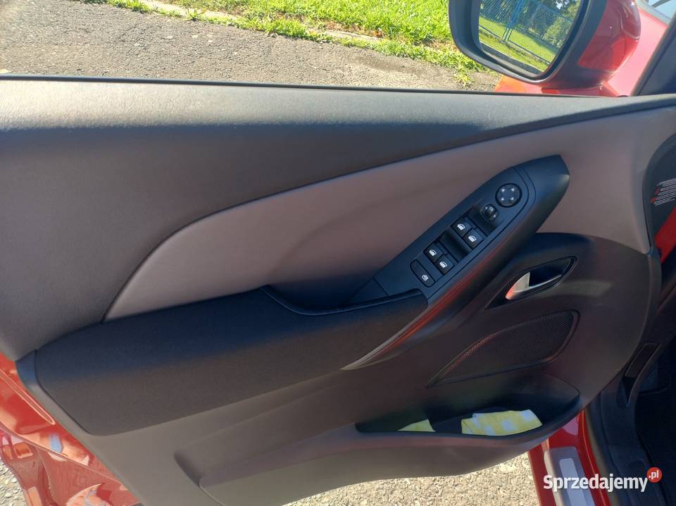 Citroen C4 Picasso Rybnik