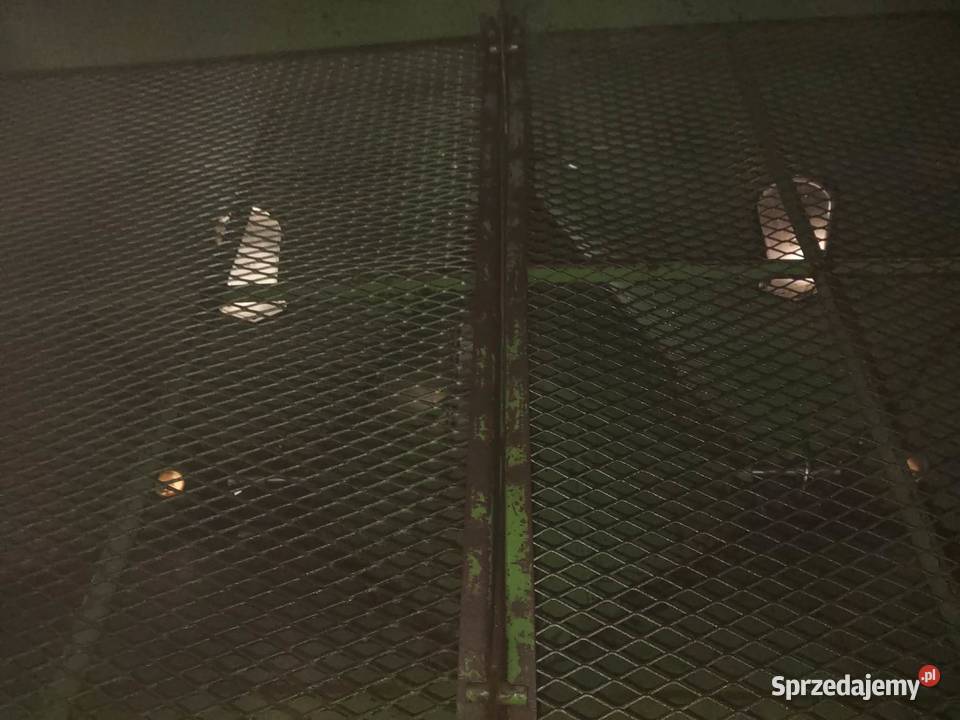 Rozsiewacz Amazone m ll Ciepielów