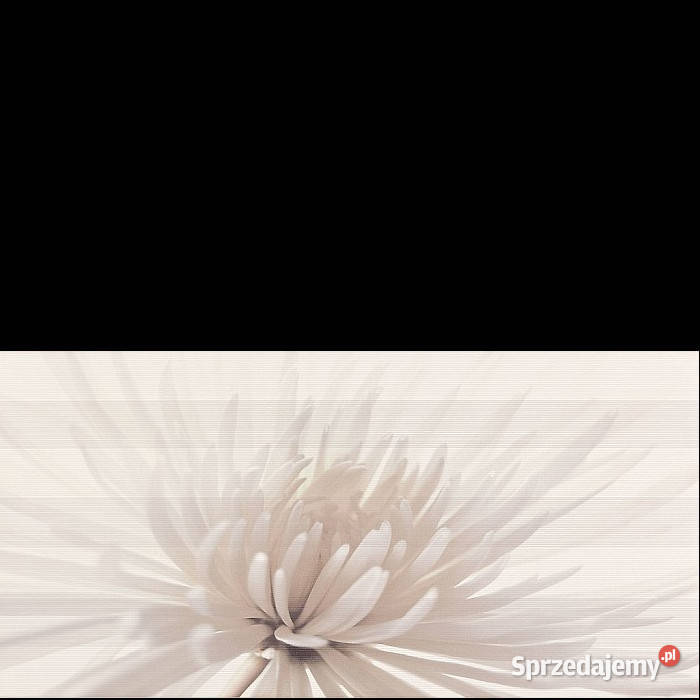 Dekor Avangarde Inserto Flower 297 x 60 Opoczno Białogard