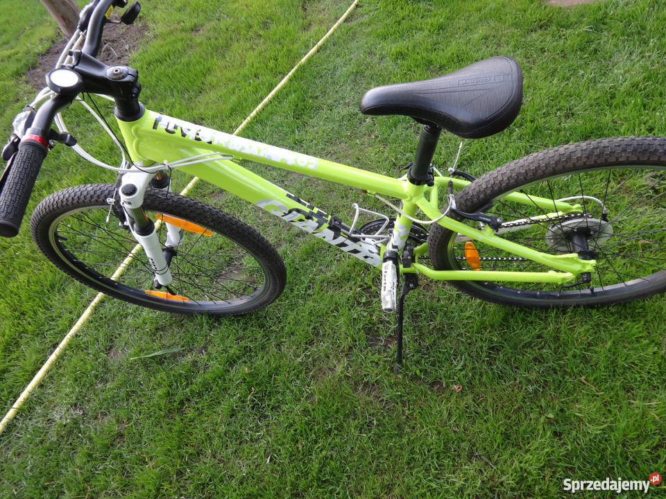 Rower GIANT Górskie, MTB wielkopolskie Kamionki