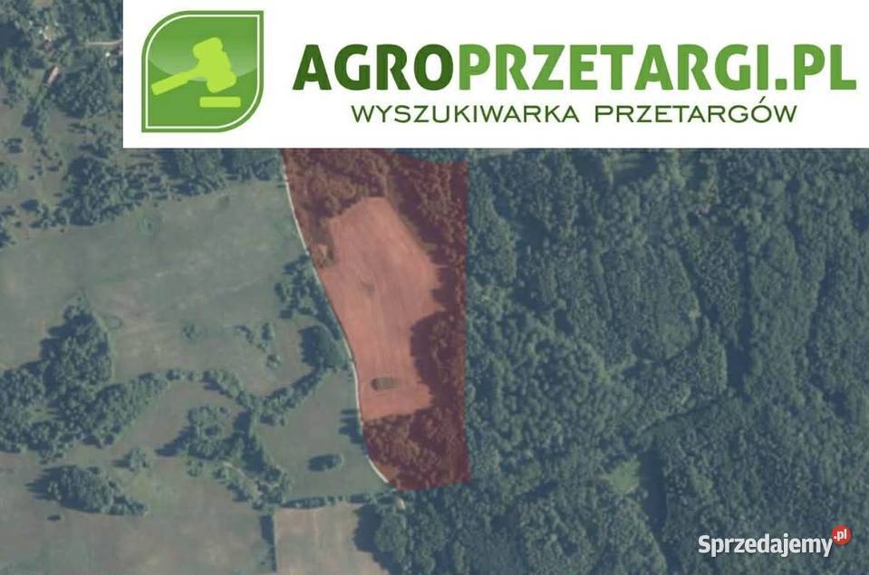 Dzierżawa 420 ha gruntu rolnego Olsztyn