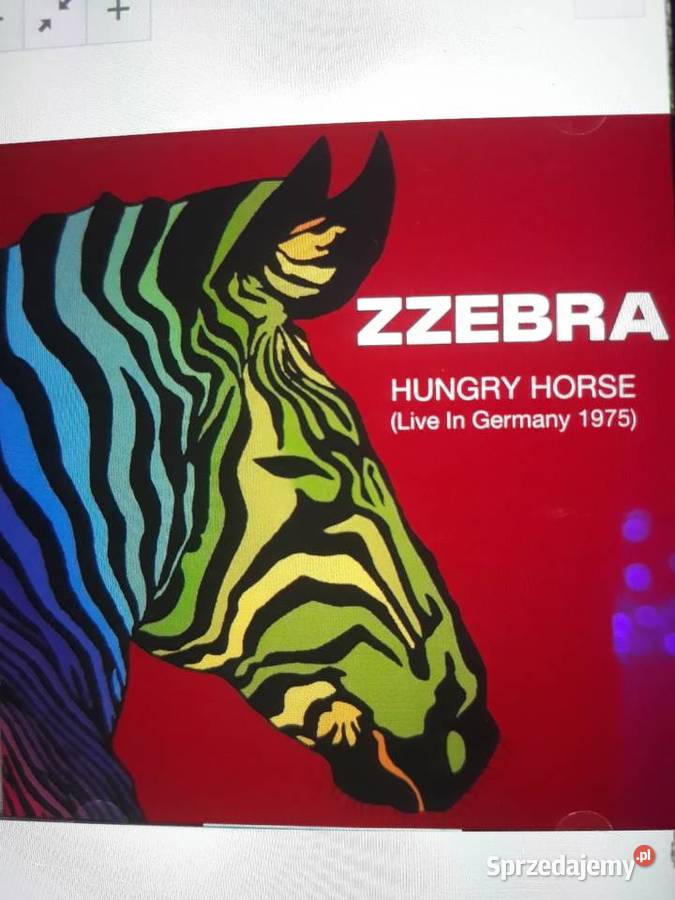 Wykopaliska jazz rocka ZZEBRA Hungry Horse Live Rzeszów