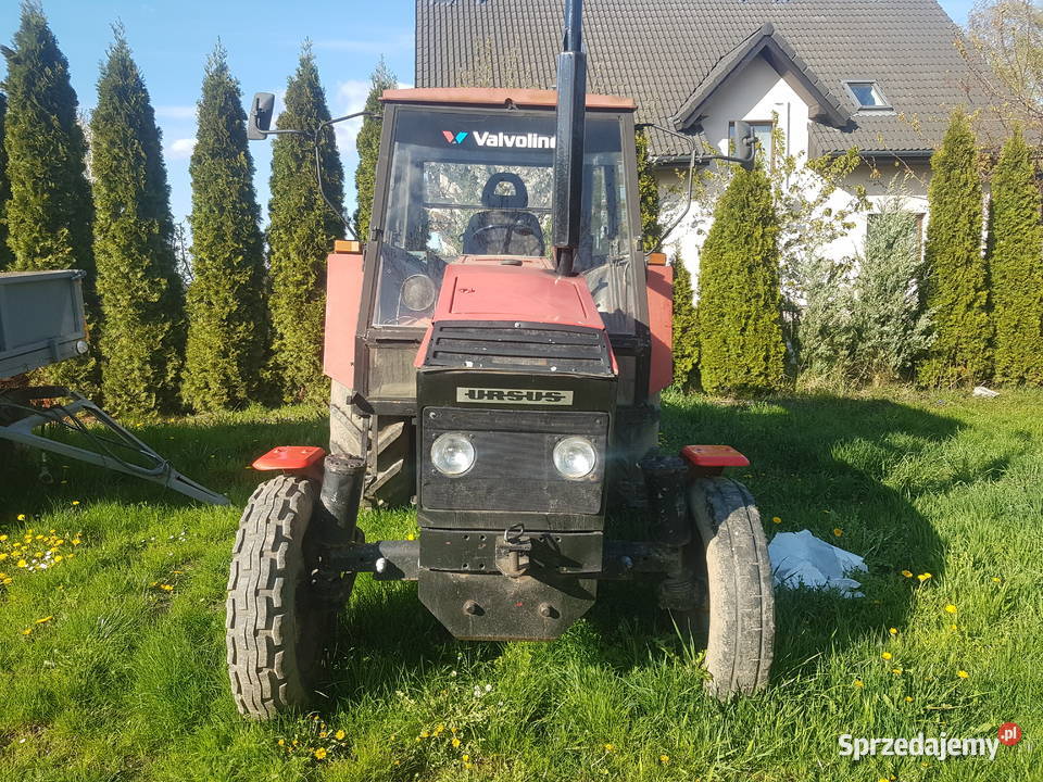 Sprzedam dolnośląskie Gniechowice