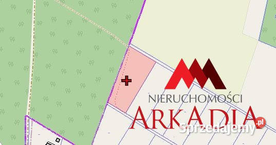 Grunt 3637m2 Nowy Witoszyn